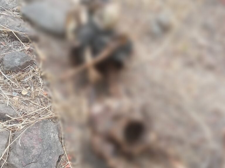 न्यू ईयर पर अल्मोड़ा में सनसनी: जंगल से मिला नर कंकाल, जेब में मिली पर्ची से हुई पहचान, 2 माह से बागेश्वर में खोज रहा था परिवार