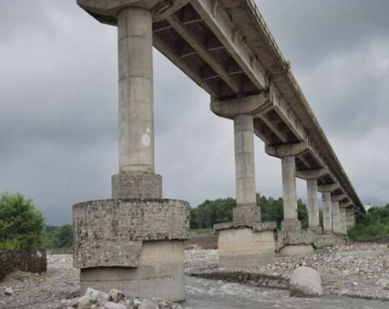 हल्द्वानी-गौलपुल से कूदी युवती, गंभीर अवस्था में अस्पताल में भर्ती