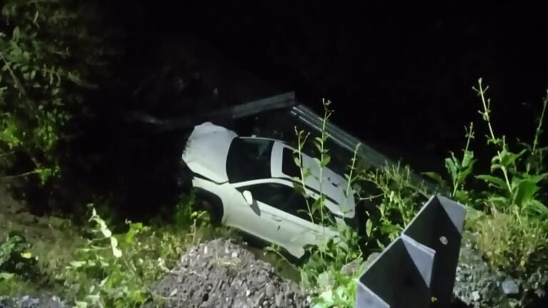 मातम में बदली खुशियां, शादी में दिल्ली जा रहा परिवार सड़क हादसे का शिकार, खाई में गिरी कार