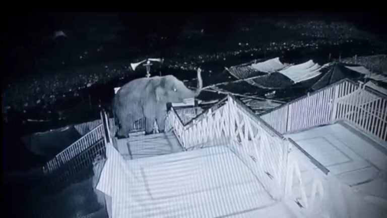 40 सीढ़ियां चढ़कर गर्जिया मंदिर पहुंचा विशालकाय हाथी, जमकर मचाया उत्पात, CCTV में कैद घटनाक्रम
