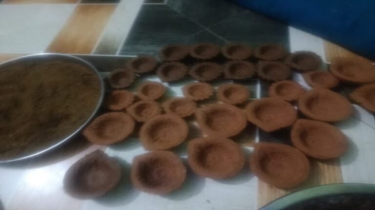 पीएम मोदी के सपनों को साकार कर रही रुद्रप्रयाग की महिलाएं, जानिये कैसे