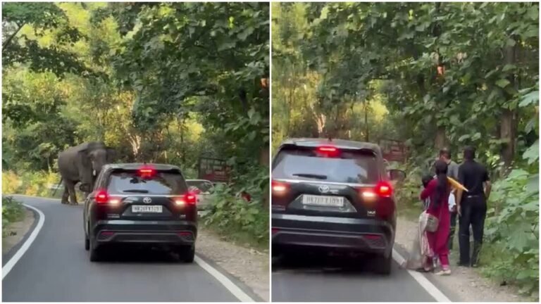 रामनगर में हाईवे पर अचानक आया टस्कर हाथी, खौफ से कार छोड़कर भागा परिवार