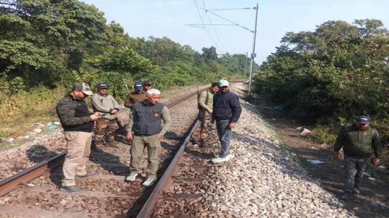 मोतीचूर रेंज में ट्रेन की टक्कर से शिशु हाथी की मौत, 2 घंटे प्रभावित रहा रेल यातायात, लोको पायलट पर मुकदमा