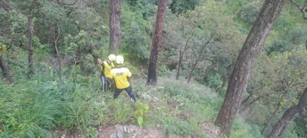 उत्तराखंड में तीन सड़क हादसे, दो चालकों समेत तीन की मौत, एक गंभीर घायल