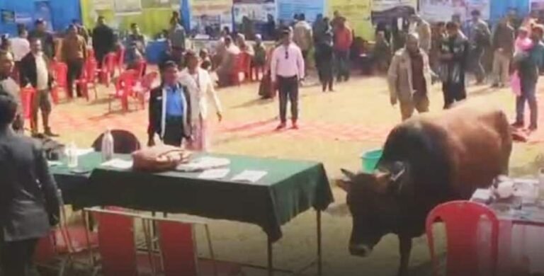 उत्तराखंड: जन-जन की सरकार कार्यक्रम में आवारा सांड की एंट्री, पंडाल में मची अफरा-तफरी, प्रशासनिक व्यवस्थाओं पर सवाल