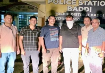 एसटीएफ ने ₹1.47 करोड़ की साइबर ठगी का किया भंडाफोड़