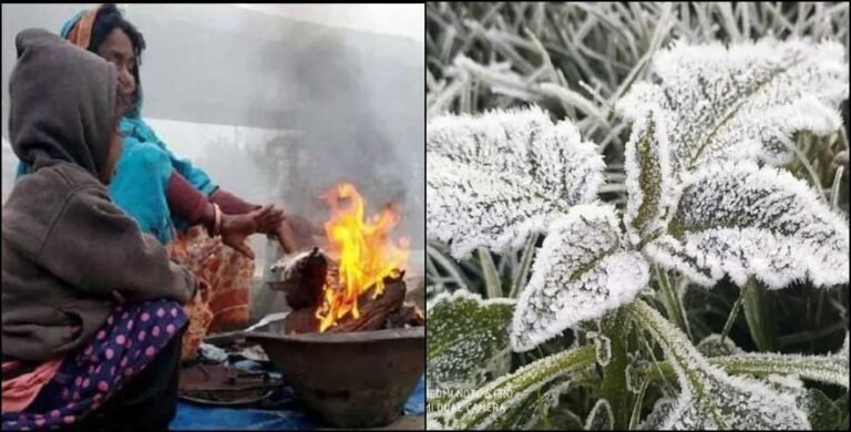 उत्तराखंड: पहाड़ों पर पाला, मैदानों में कोल्ड वेव अलर्ट का अलर्ट.. जानिये मौसम समाचार