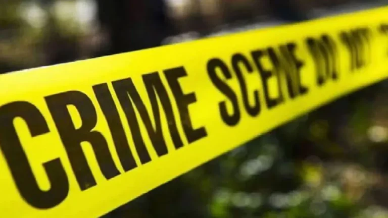 देहरादून में बेखौफ बदमाश: कॉलोनी में टहल रही महिला को बनाया निशाना