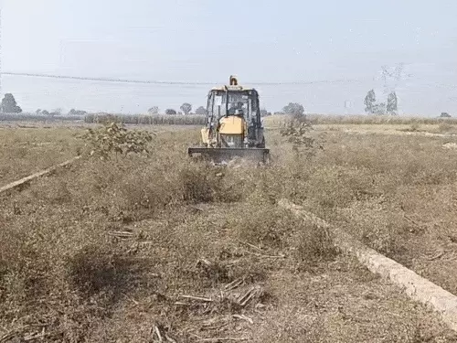 देहरादून में अवैध कॉलोनियों पर सख्ती:डोईवाला में एमडीडीए का बुलडोजर एक्शन, सेरगढ़ माजरी ग्रांट में 20 बीघा अवैध प्लॉटिंग ध्वस्त