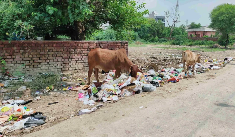 देहरादून में खुले में कूड़ा फेंका, ड्रोन से कटा चालान:5 को नोटिस जारी, कंट्रोल रूम में बैठी टीम तुरंत ले रही एक्शन