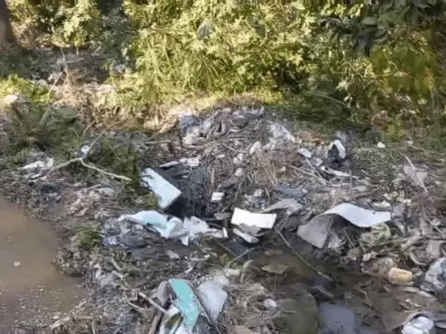 जंगलों के किनारे कूड़ा कचरा वन्यजीवों पड़ रहा भारी:कूड़ा डालने वाली की अब खैर नही, CCTV से होगी निगरानी